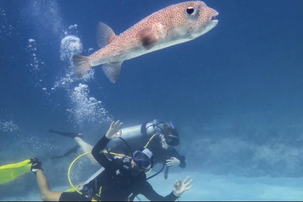 Discover Playa del Carmen with ScubaCaribe