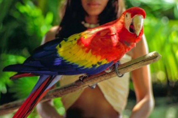 Quintana Roo Kickstarting Tourism