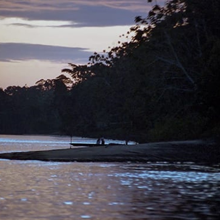 Chase | Ecuador - 336-33 Sunset in the Amazon